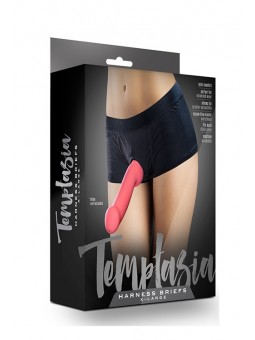 TEMPTASIA HARNESS BRIEFS...