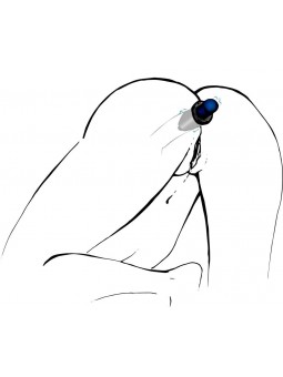 Lust Tunnel Plug M