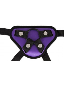 Universal Harness + 3 Rings