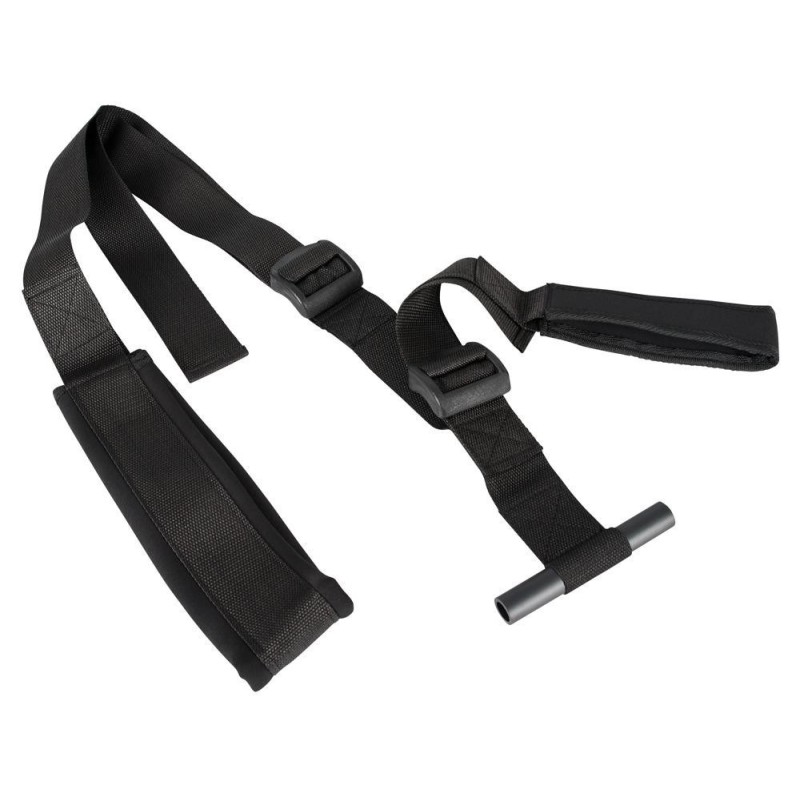 Fantasy Door Swing black