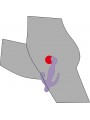 3 Pointer purple