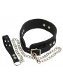 Collar Silicone