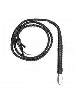 Twisted Whip