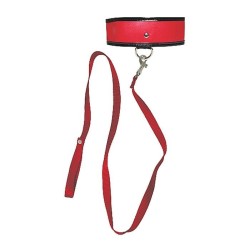 Red Leash & Collar