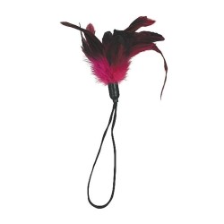 Pleasure Feather - Rose