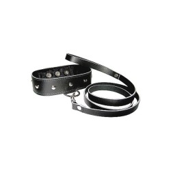 Leather Leash and Collar 2
