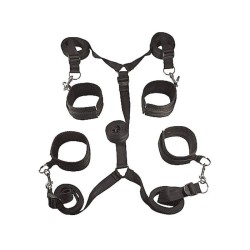 Under the Bed Restraint Gear