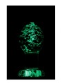 FIREFLY GLASS PLUG MEDIUM CLEAR