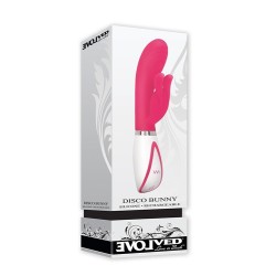 EVOLVED DISCO BUNNY