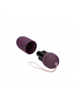 Vibrating Egg - 10 speed - Purple