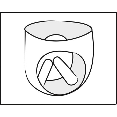 Leather Briefs with 2 Dildos