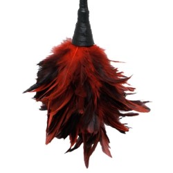 FFS Frisky Feather Duster 2