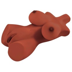 PDX Plus Perfect 10 Torso Brow 2