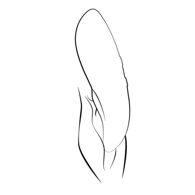 We-Vibe Touch X Green Velvet