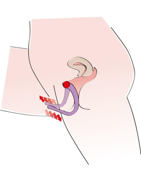 Intimate Spreader Purple acquista online su Porky's Store