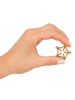 Bad Kitty Nipple Jewellery Gol