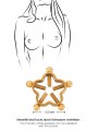 Bad Kitty Nipple Jewellery Gol