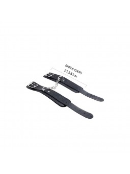 Secret Desires BDSM Kit