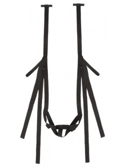 Bad Kitty Door Swing