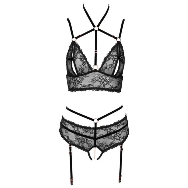 Bra plus Suspender Briefs