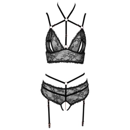 Bra plus Suspender Briefs