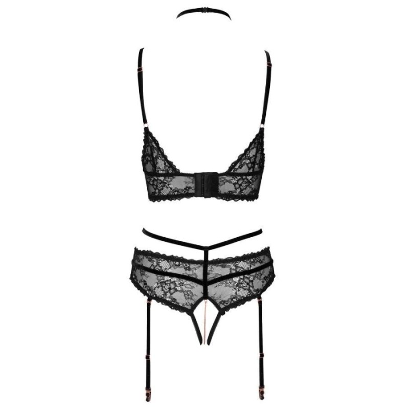 Bra plus Suspender Briefs