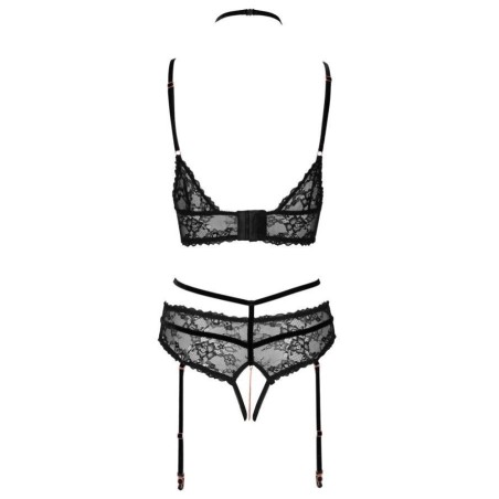 Bra plus Suspender Briefs