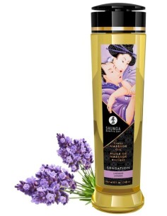 Shunga Oil Sensation/Lavend240