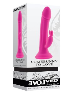 EVOLVED SOMEBUNNY TO LOVE