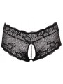 Panties