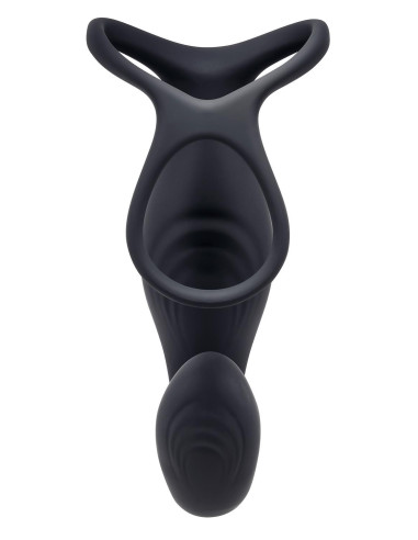 GENDER X THE WRANGLER