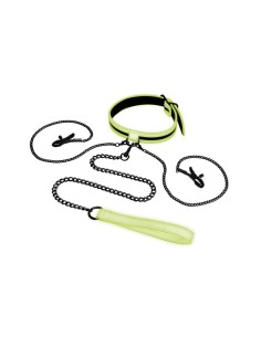 WHIPSMART GLOW IN THE DARK COLLAR WITH N 2