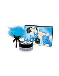 SHUNGA KISSABLE MASSAGE POWDER COCONUT T 2