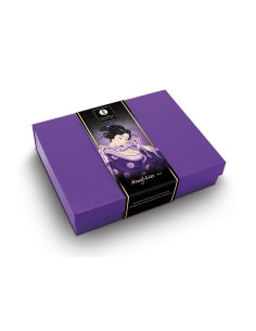 SHUNGA NAUGHTIER KIT