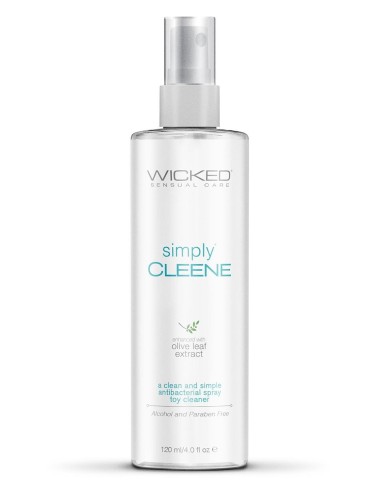 WICKED SIMPLY CLEENE TOYCLEANER 120ML