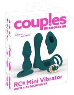 Couples Choice Mini Vibe w 4