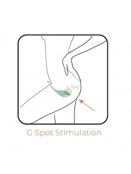 Palpitation + New App - Menta