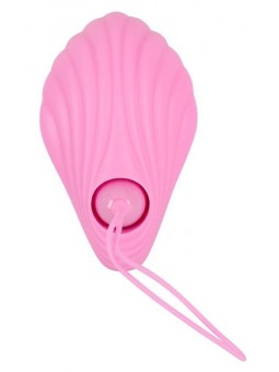 Ladies Night Shell of Desire
