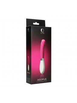 Asopus - Pink