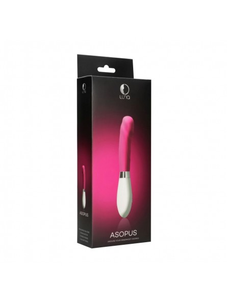 Asopus - Pink Asopus - Pink