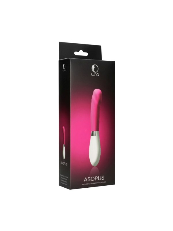 Asopus - Pink