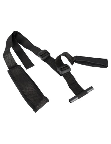 Fantasy Door Swing black