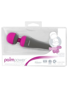 palmpower Massager
