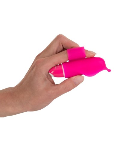 Sweet Smile Little Dolphin